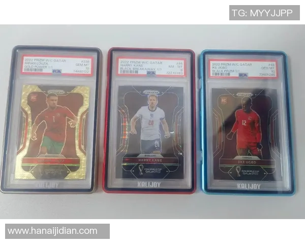 2013足球球星卡收藏价值与市场发展前景深度解析 2013足球球星卡收藏价值与市场发展前景深度解析